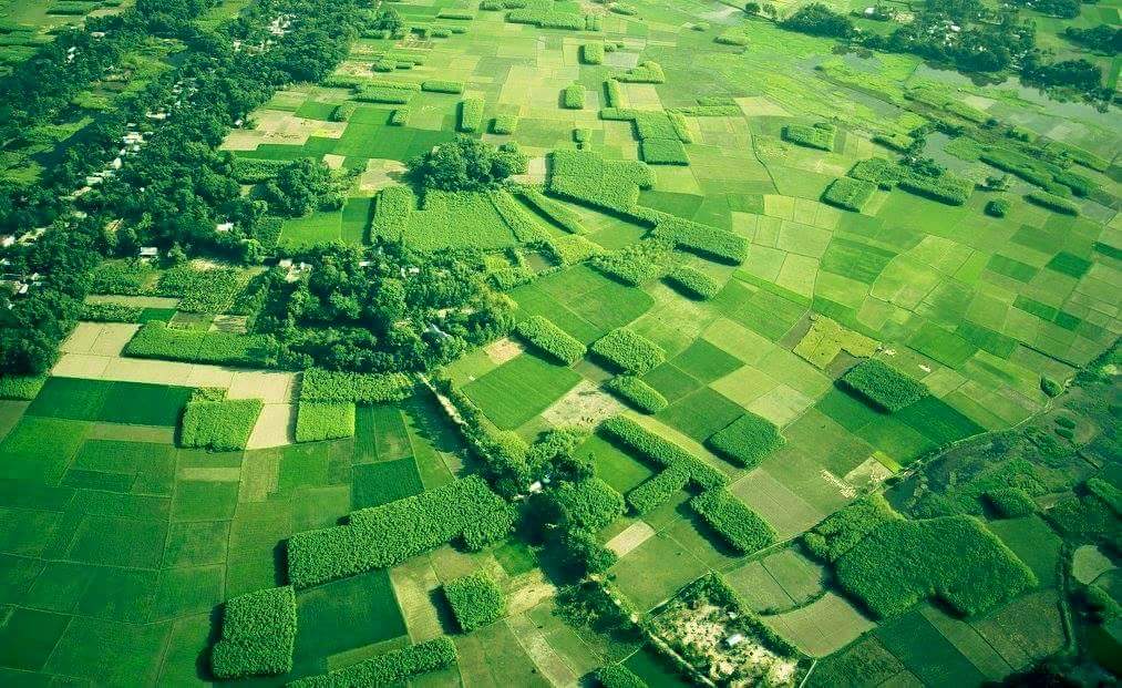Mosaic in Green!
